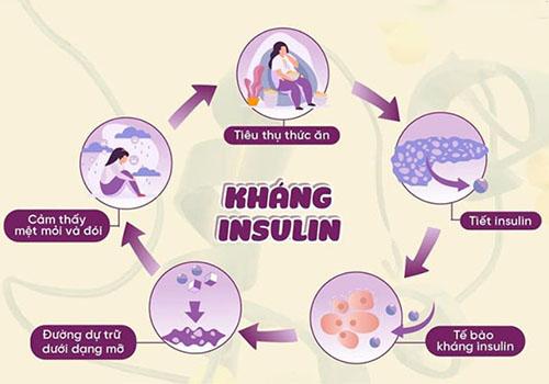 khang-insulin.jpg